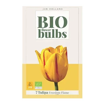 JUB Holland Bloembollen Tulp (Tulipa 'Freedom Flame') Biologisch 7 stuks