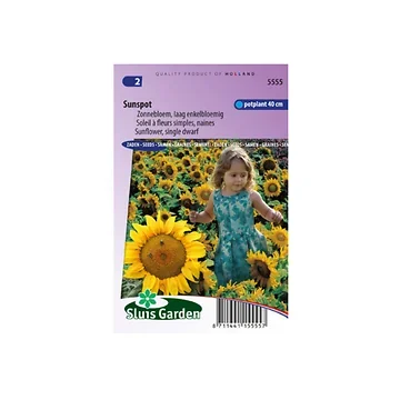 Helianthus annuus Sunspot