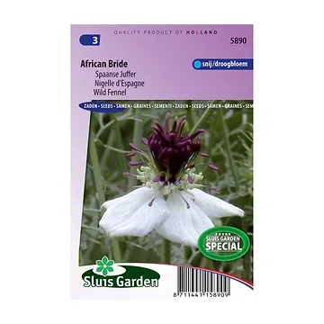 Nigella paillosa African Bride
