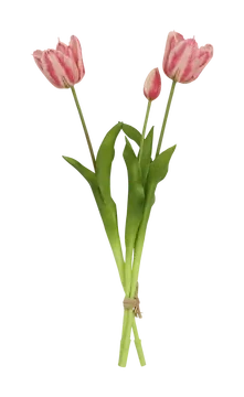 De Bosrand Tulpen Bloeiend Roze 3 Stuks 48 cm