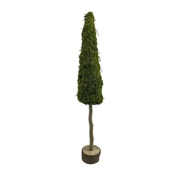 Boom op stam mos 13 x 80 cm