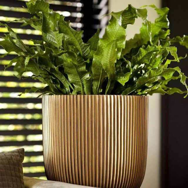 Pillar potten - Gouden potten