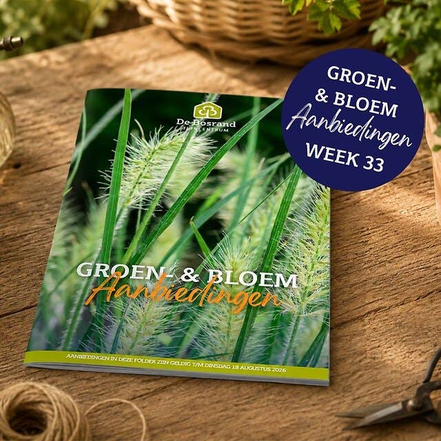 GROEN- & BLOEM FOLDER homepage nieuwsbrief - 2