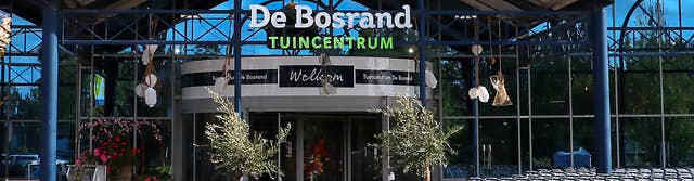 wassenaar