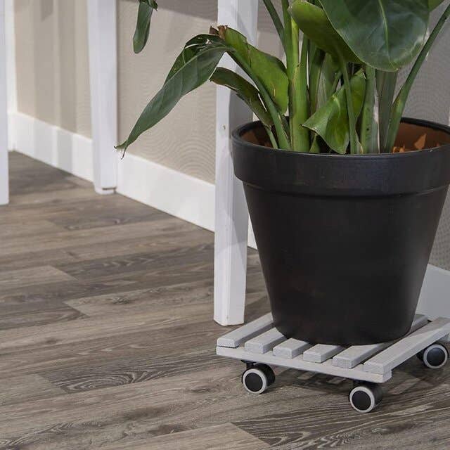 Pillar potten - Plantentrolleys